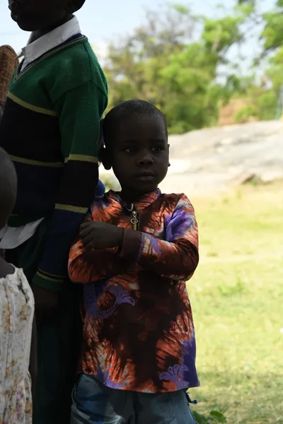 DSC_2977 (Large).JPG